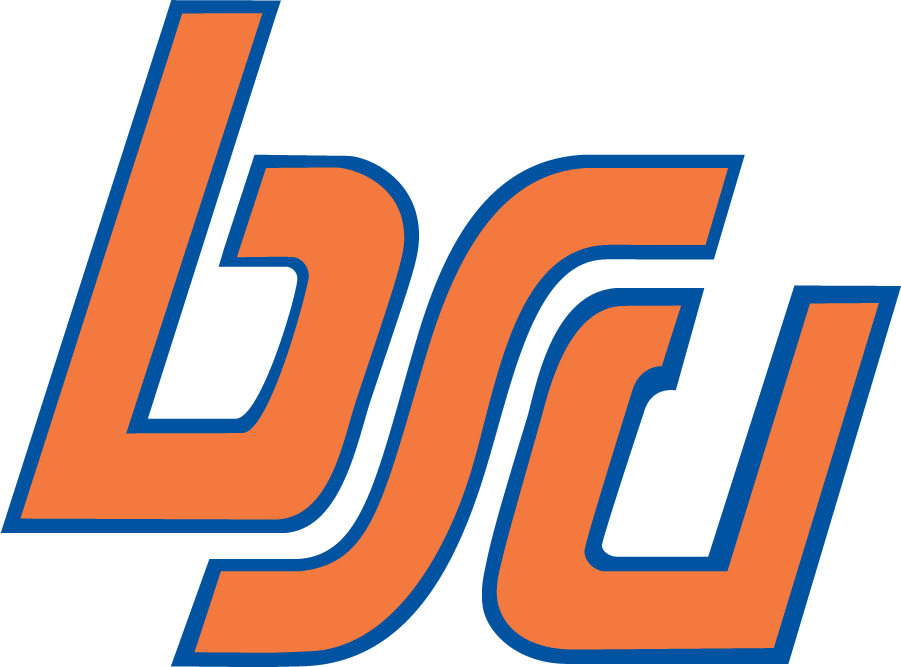 Boise State Broncos 1974-2002 Alternate Logo iron on transfers for clothing